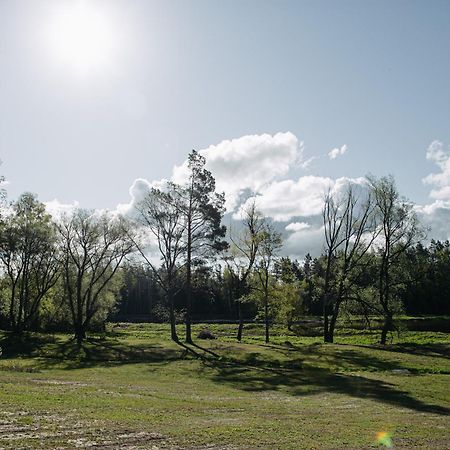 "Gaujmale" Sauna House In Nature Ilkene Exterior photo