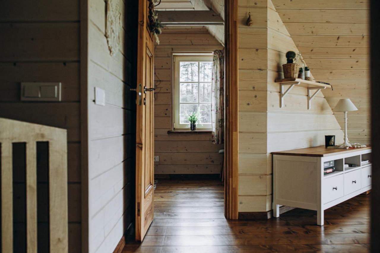 "Gaujmale" Sauna House In Nature Ilkene Exterior photo